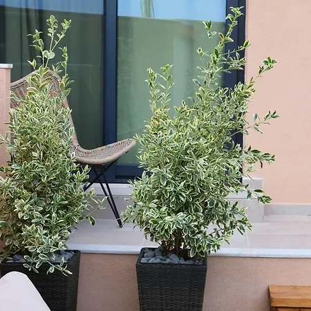 Vf34 Patio House Vakantiehuis
